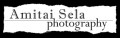 Individual or Family Portrait Sitting: includes web-ready digital copies